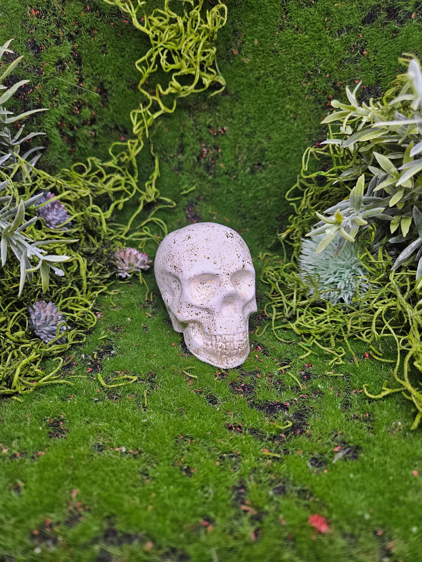 Decorative Skull