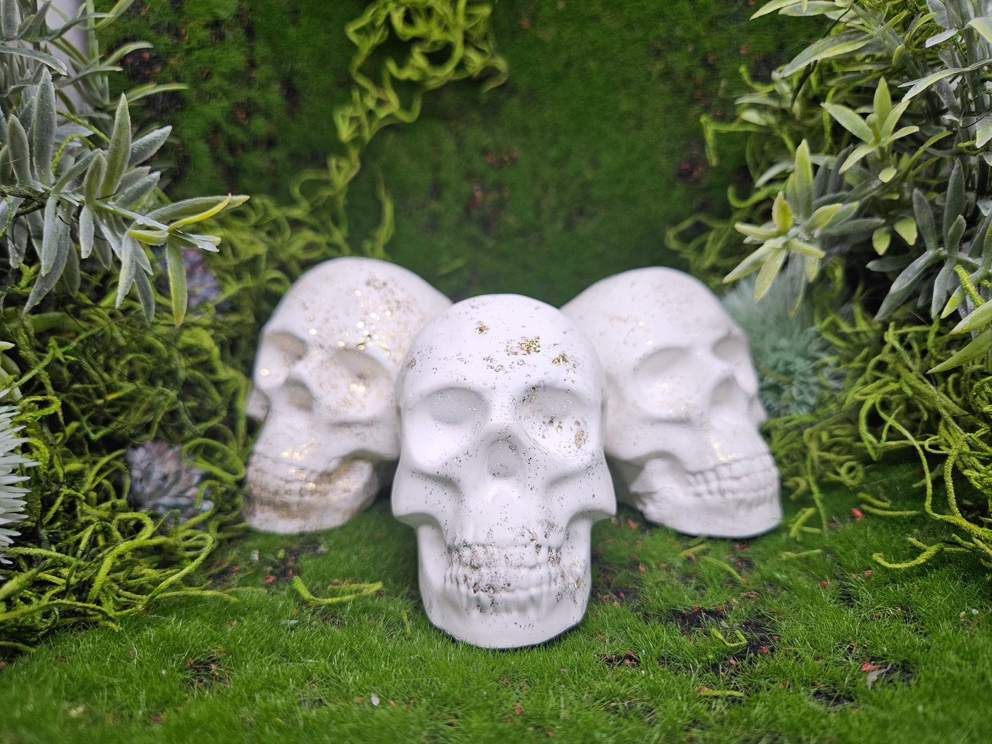 Decorative Skull