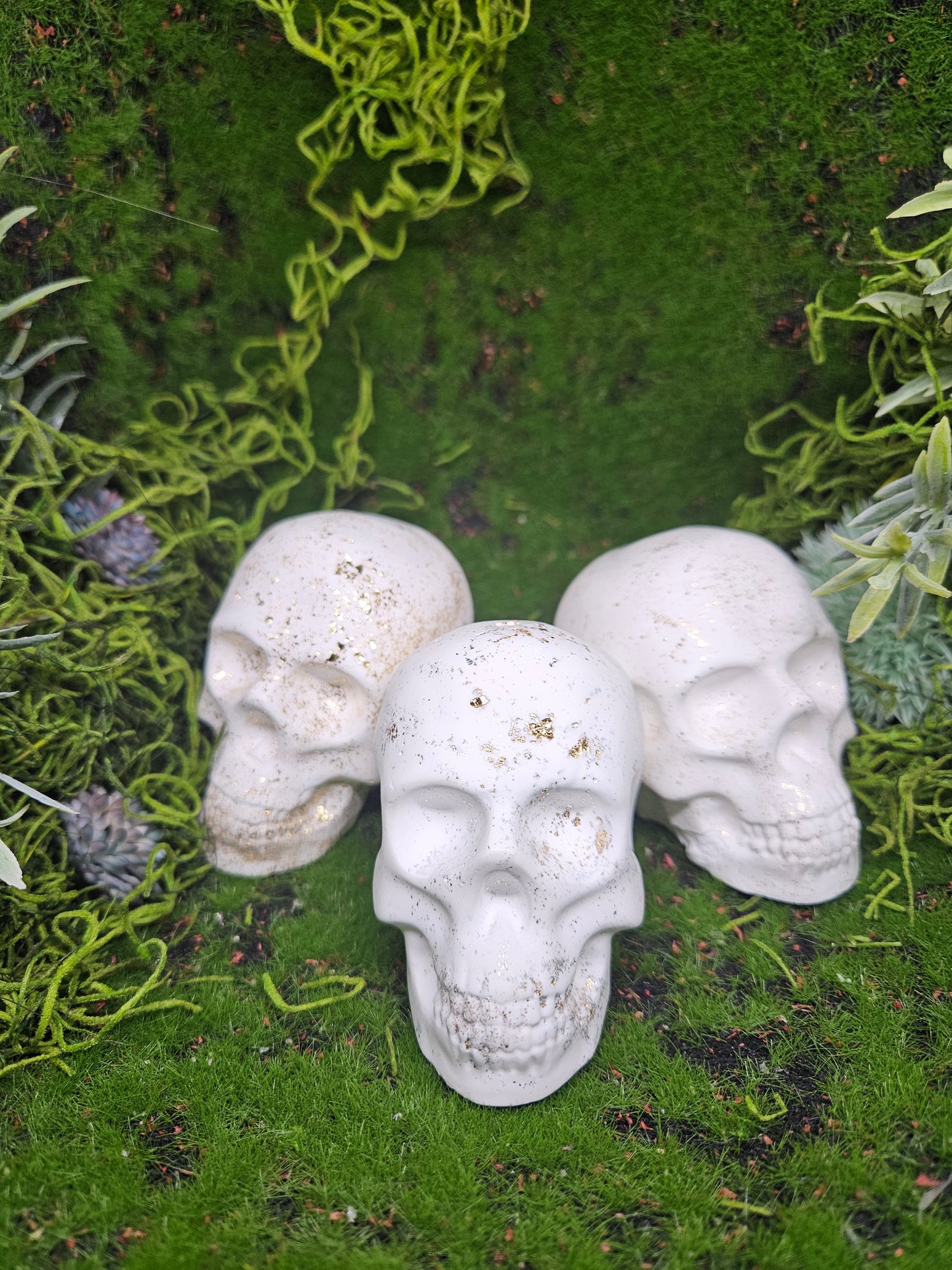 Decorative Skull